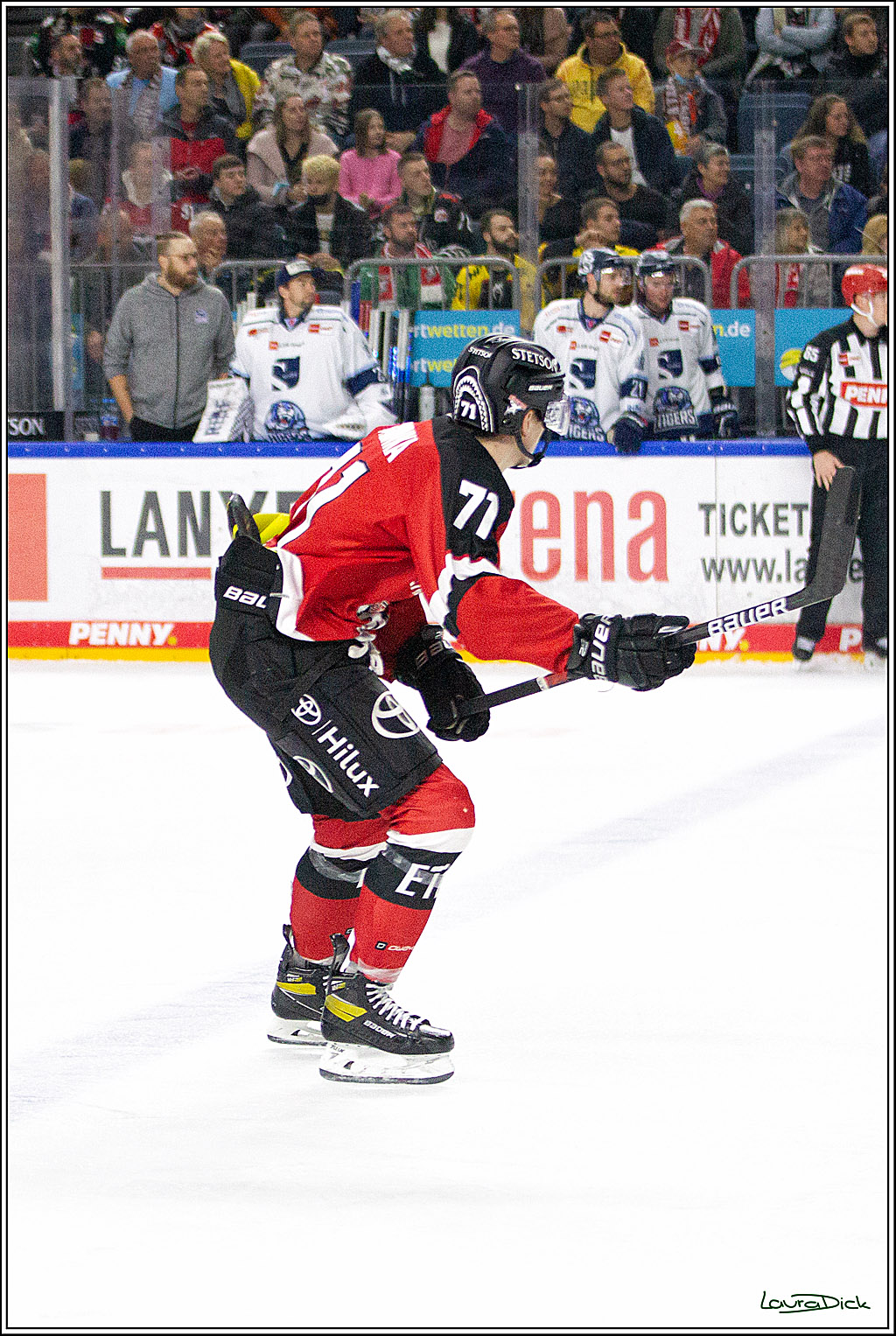PENNY DEL;  Koelner Haie - Straubing Tigers; Koeln, 15.10.2021